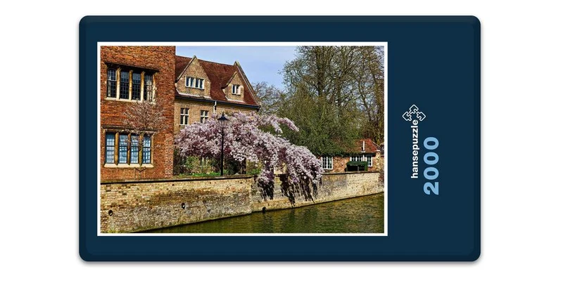 19211 Natur - Cambridge Puzzle