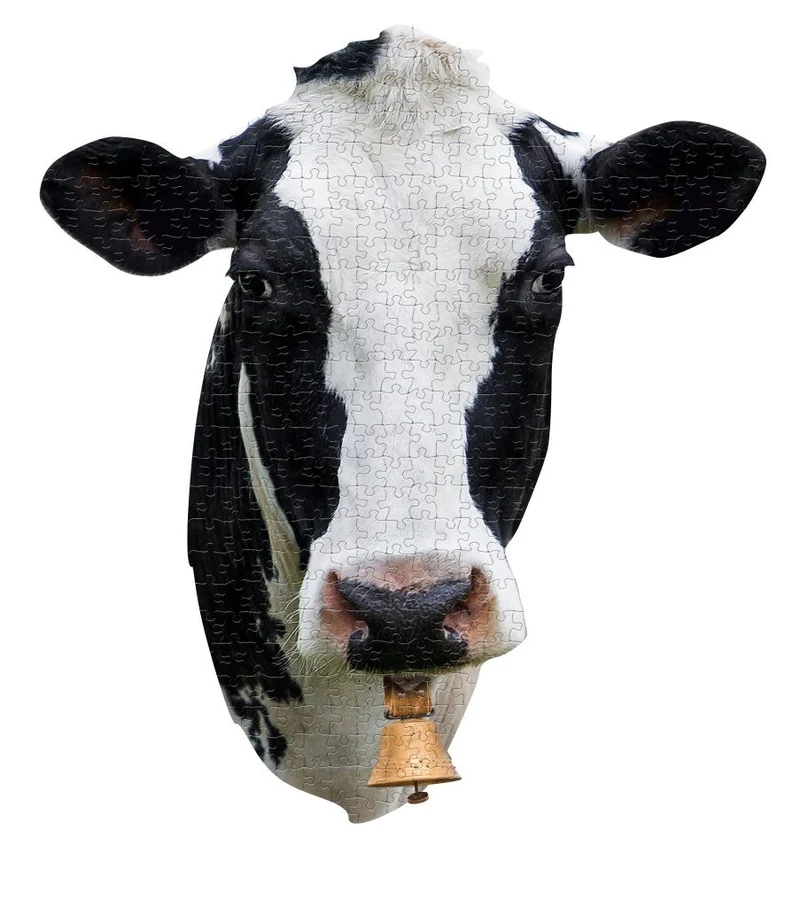 I Am Cow (300pcs)
