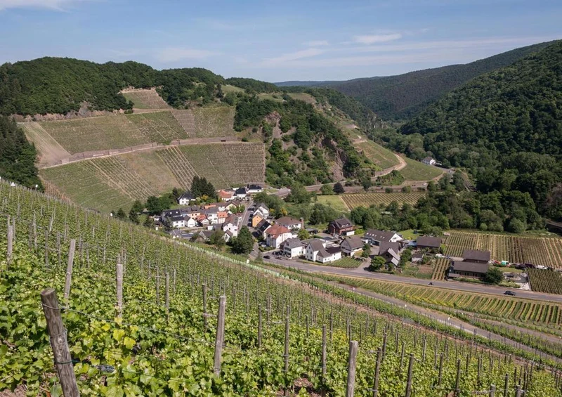 21941 Natur - Wein-Berg Puzzle