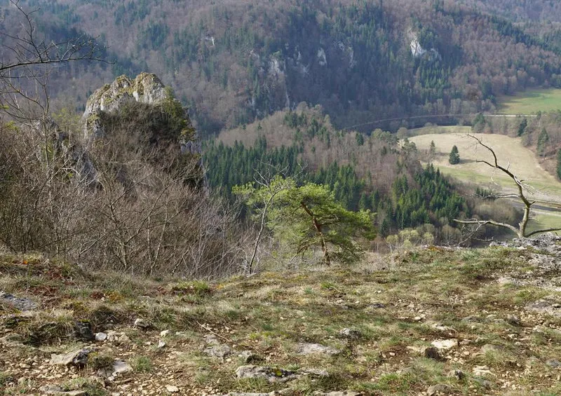 21936 Natur - Blick ins Donautal Puzzle