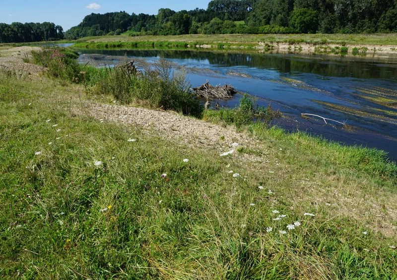 21926 Natur - Flusslauf Puzzle