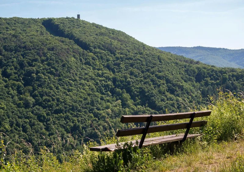 21921 Natur - Bank mit Ausblick Puzzle