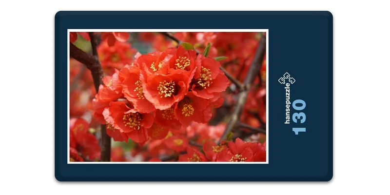 18597 Natur - Rote Blüte Puzzle