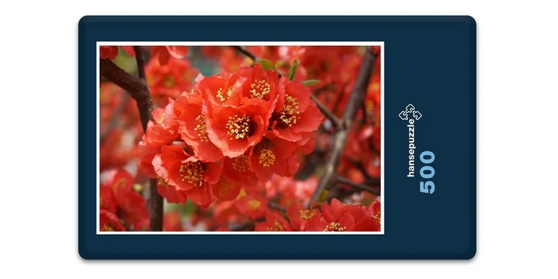 18597 Natur - Rote Blüte Puzzle