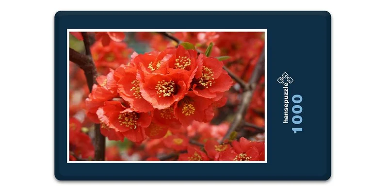 18597 Natur - Rote Blüte Puzzle