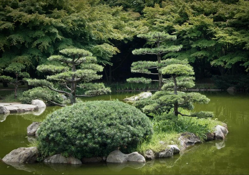22958 Natur - Japanischer Garten Puzzle