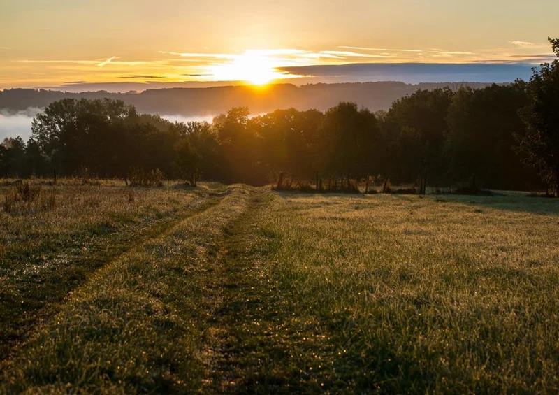 21916 Natur - Sonnenaufgang Puzzle
