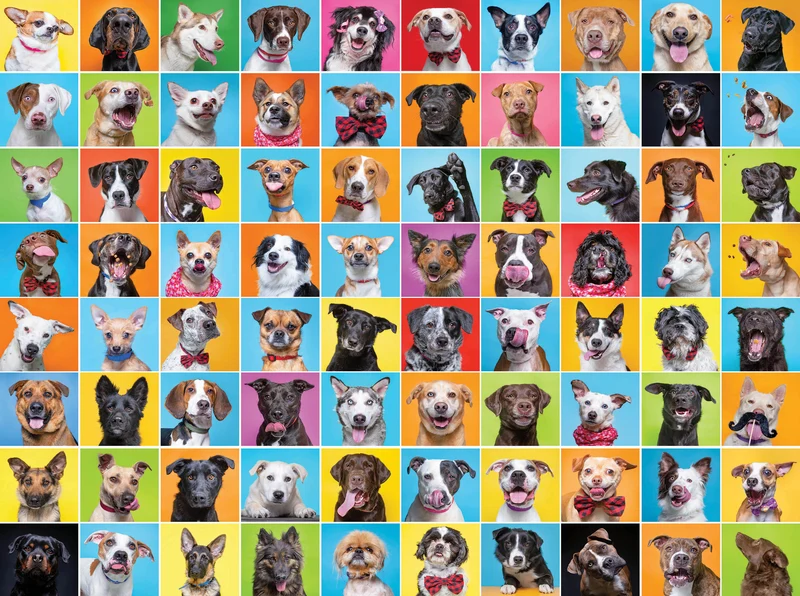 Colorful Collage - Cute Dog Collage (1000pcs)