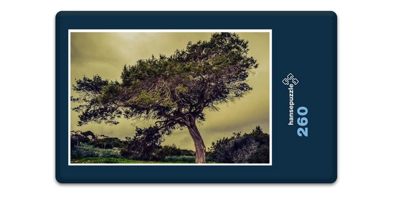 18497 Natur - Baum im Wind Puzzle