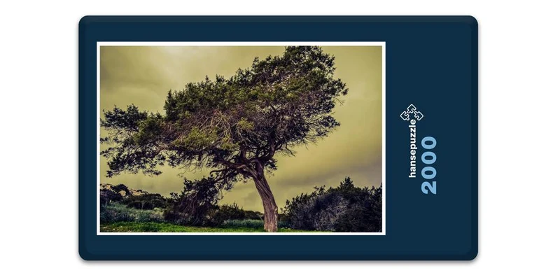 18497 Natur - Baum im Wind Puzzle