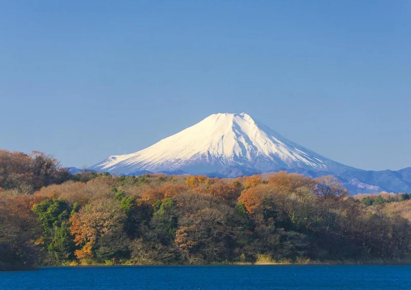 18494 Natur - Fujiyama Puzzle