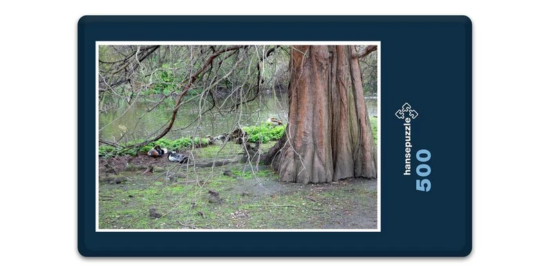 19276 Natur - Alte Eiche Puzzle
