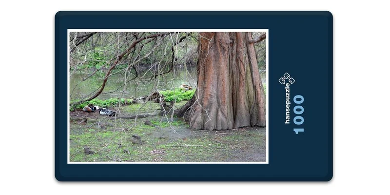 19276 Natur - Alte Eiche Puzzle