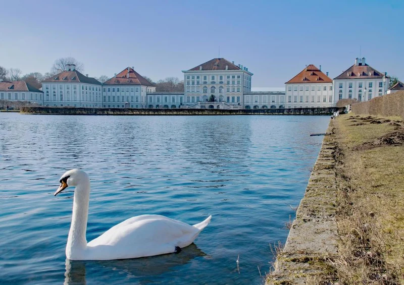 24115 Tierwelt - Schwan Puzzle