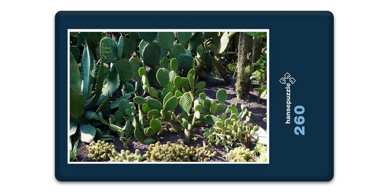 19905 Natur - Kaktus-Beet Puzzle