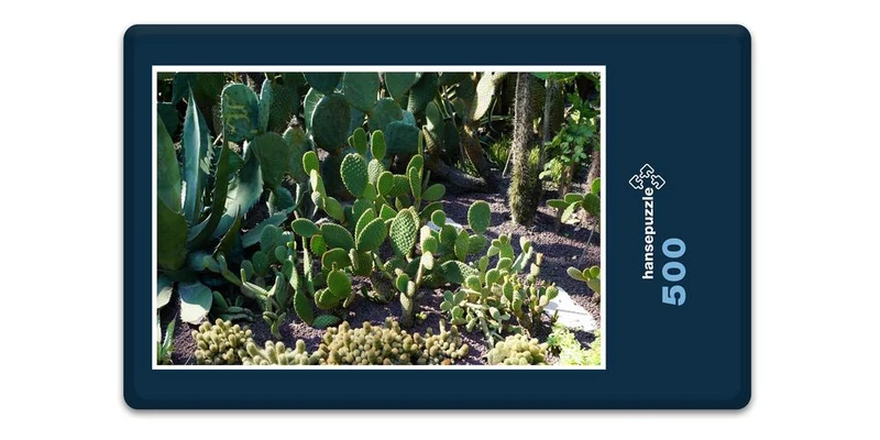 19905 Natur - Kaktus-Beet Puzzle