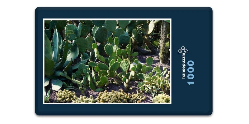 19905 Natur - Kaktus-Beet Puzzle