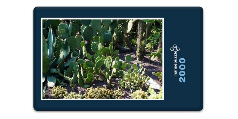 19905 Natur - Kaktus-Beet Puzzle
