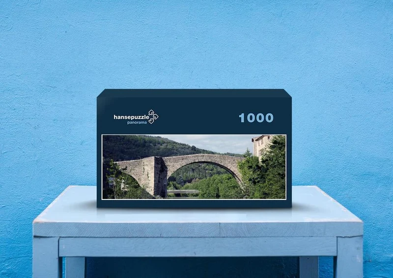21312 Orte - Brücke Puzzle