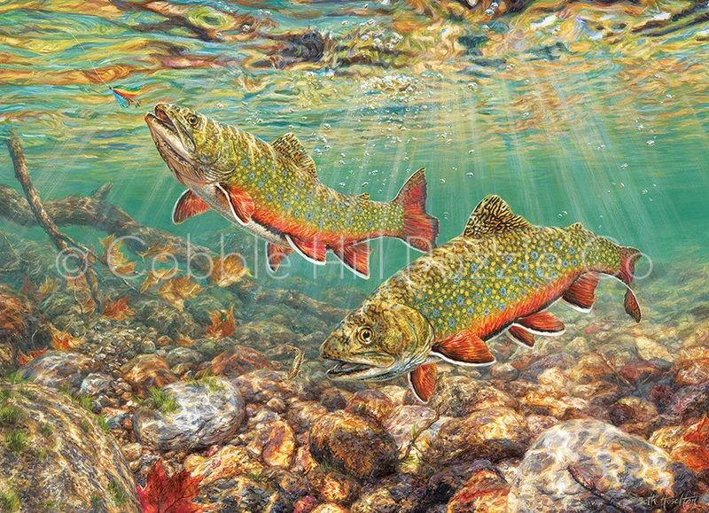 Brook Trout, Beth Hoselton (1000pcs)