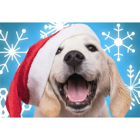 Micro Puzzle - Holiday Santa Paws