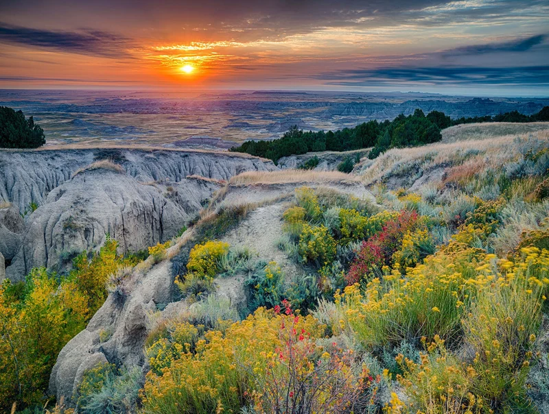Postcard Collection - Badlands National Park, USA (550pcs)