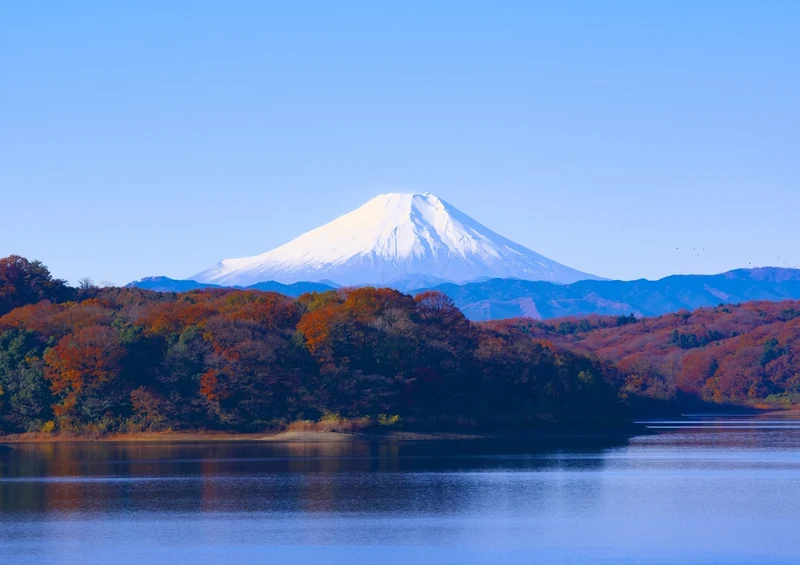 43113 Natur - Japan Puzzle