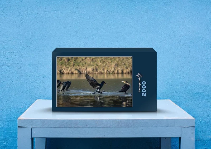 22500 Natur - Wasser-Landung Puzzle