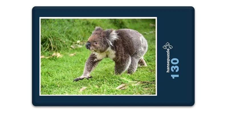 18517 Tierwelt - Koala-Bär Puzzle