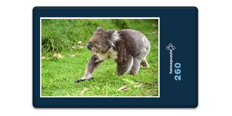 18517 Tierwelt - Koala-Bär Puzzle