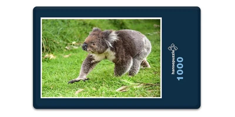 18517 Tierwelt - Koala-Bär Puzzle