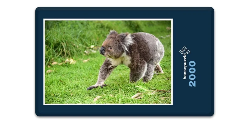 18517 Tierwelt - Koala-Bär Puzzle