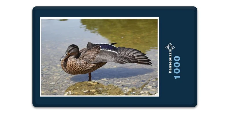 18482 Sport - Ente Puzzle