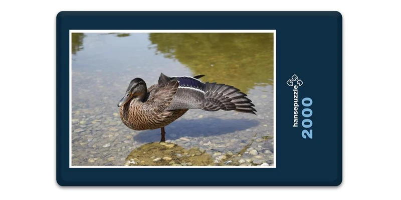 18482 Sport - Ente Puzzle