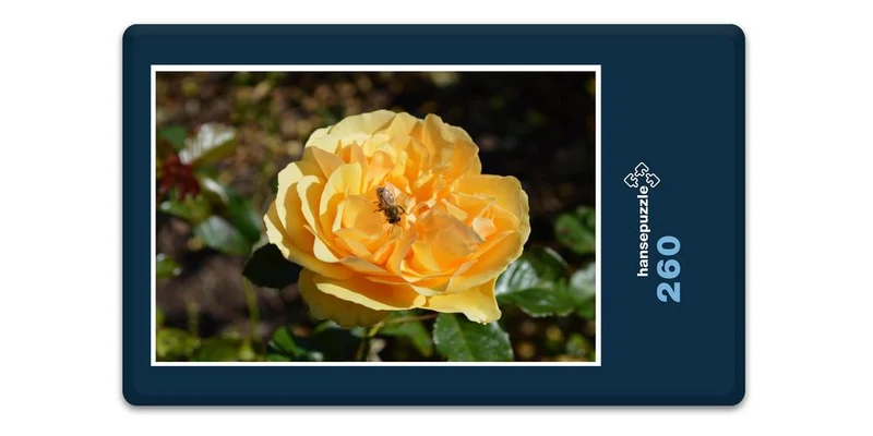 19405 Tierwelt - Rose Puzzle