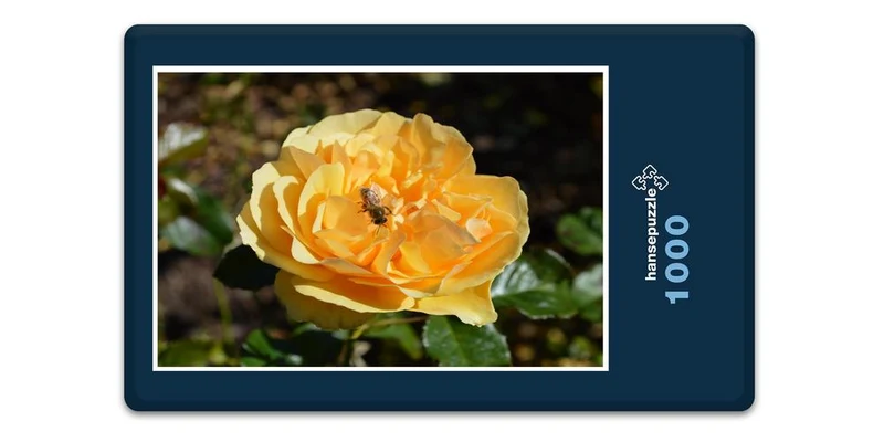19405 Tierwelt - Rose Puzzle