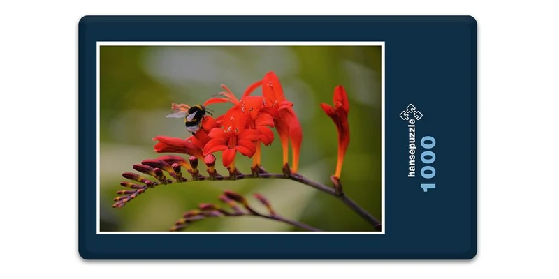 18688 Tierwelt - Biene auf Blüte Puzzle