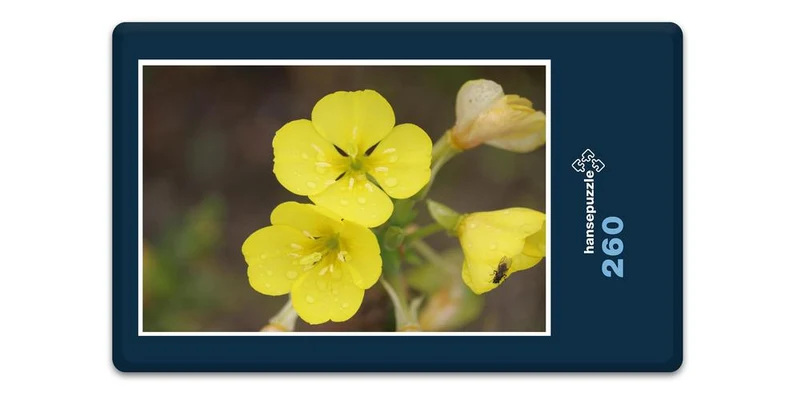 19400 Tierwelt - Wiesenblume Puzzle