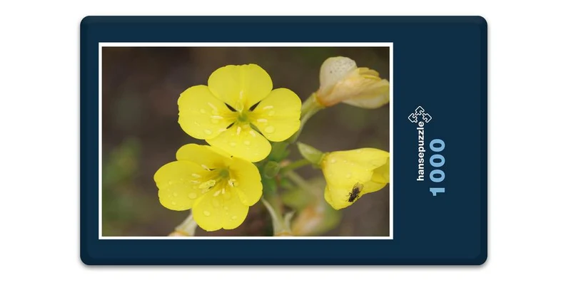 19400 Tierwelt - Wiesenblume Puzzle