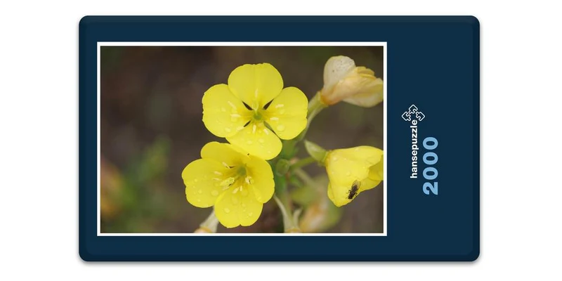 19400 Tierwelt - Wiesenblume Puzzle