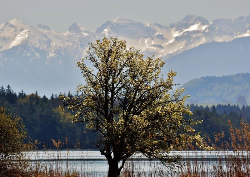 22480 Natur - Ostersee Puzzle