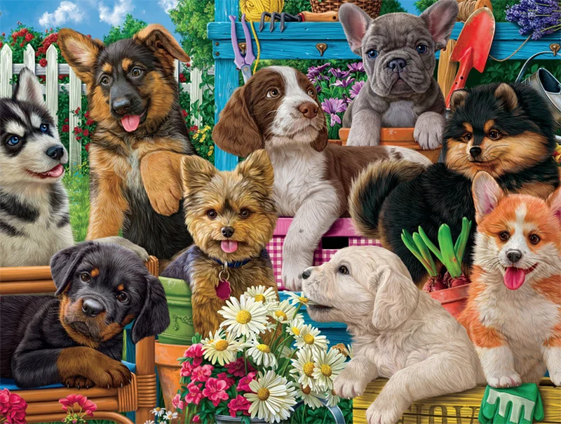 Dog Days: Funny Puppies