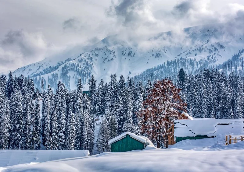 24051 Natur - Winterlandschaft Puzzle