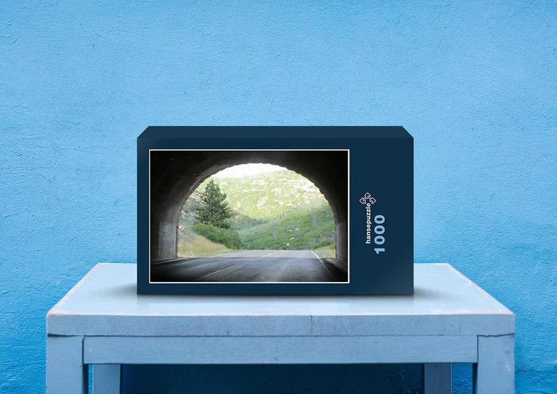 42447 Fortbewegung - Tunnel Puzzle