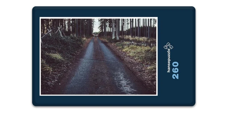 18473 Natur - Waldweg Puzzle