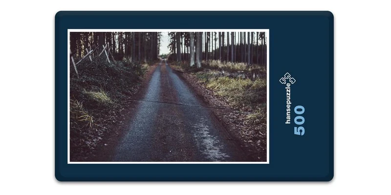18473 Natur - Waldweg Puzzle
