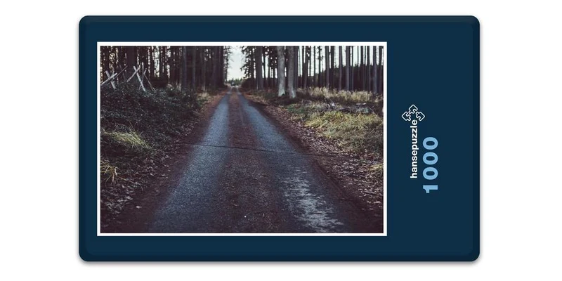 18473 Natur - Waldweg Puzzle