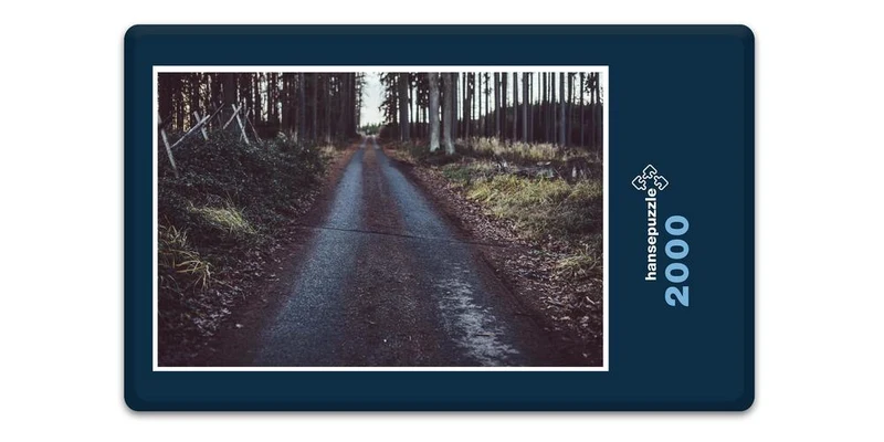 18473 Natur - Waldweg Puzzle