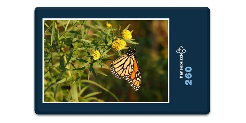 18683 Tierwelt - Schmetterling Puzzle