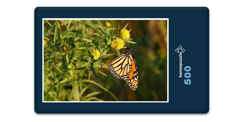 18683 Tierwelt - Schmetterling Puzzle